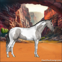 Horse Color:Grullo Ice Roan Tobiano
