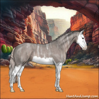Horse Color:Silver Blue Ice Roan Splash 