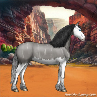 Horse Color:Grullo Ice Roan Splash 