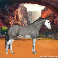 Horse Color:Grullo Roan Splash 
