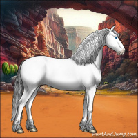 Horse Color:Bay Splash 