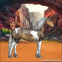 Horse Color:Silver Smoky Black Tobiano 