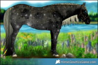 Horse Color:Void Plaid  White Spotted Chocolate Palomino Ice Roan Dun Mushroom Splash Rabicano 