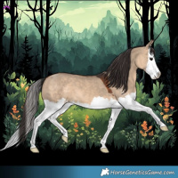 Horse Color:Brown Dun Splash