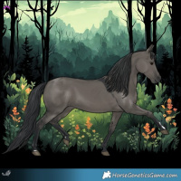 Horse Color:Grullo 