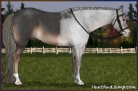 Horse Color:Liver Red Roan Mushroom 
