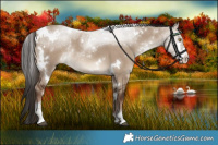 Horse Color:White Spotted Liver Red Dun Sabino Rabicano 