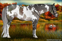 Horse Color:Platinum White Spotted Liver Chestnut