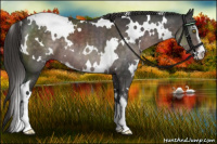 Horse Color:Platinum White Spotted Liver Chestnut Sabino 
