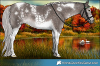 Horse Color:Platinum White Spotted Chocolate Palomino Tobiano 