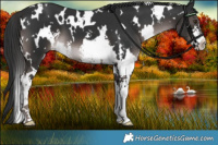 Horse Color:Platinum White Spotted Liver Chestnut Sabino 