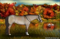 Horse Color:Liver Red Dun 