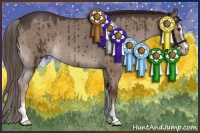 Horse Color:Liver Red Dun Roan Sabino Brindle 