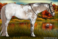 Horse Color:White Spotted Liver Red Dun Roan Rabicano
