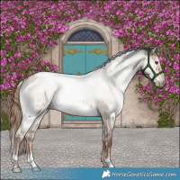 Horse Color:White Spotted Liver Red Dun Roan Rabicano
