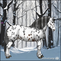 Horse Color:Brown Appaloosa 