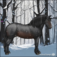 Horse Color:Brown Appaloosa 