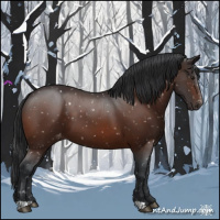 Horse Color:Brown Appaloosa