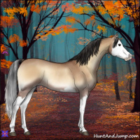 Horse Color:Bay Onyx Splash Rabicano 