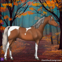 Horse Color:Silver Bay Tobiano 