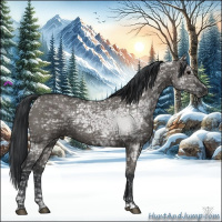 Horse Color:Grullo Ice 