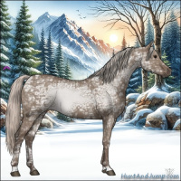 Horse Color:Silver Grullo Ice 