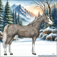 Horse Color:Chocolate Palomino Ice Splash 