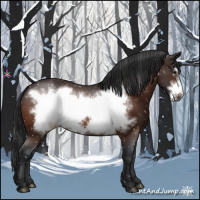 Horse Color:Brown Frame Appaloosa 
