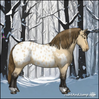Horse Color:Buckskin Dun Appaloosa 
