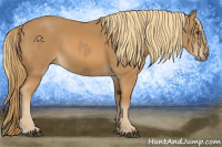 Horse Color:Chestnut  and Chestnut 