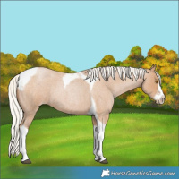 Horse Color:Silver Blue Roan Pearl Tobiano Frame 