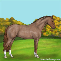 Horse Color:Red Roan 