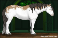 Horse Color:Bay Splash Frame 