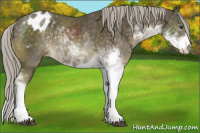 Horse Color:Chocolate Palomino Mushroom Sabino Blanket Rabicano 