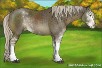 Horse Color:Chocolate Palomino Mushroom Sabino Varnish Rabicano
