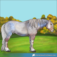 Horse Color:Silver Blue Onyx Ice