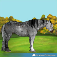 Horse Color:ERROR: UNKNOWN ANOMALY and ERROR: UNKNOWN ANOMALY
