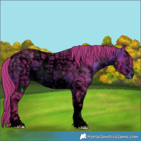 Horse Color:ERROR: UNKNOWN ANOMALY