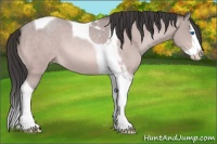 Horse Color:Platinum Sable Champagne Splash Tobiano 