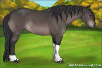 Horse Color:Platinum Brown Tobiano 