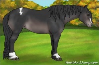 Horse Color:Platinum Brown Sabino Varnish