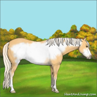Horse Color:Palomino Frame 