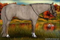 Horse Color:Chocolate Palomino Roan Tobiano