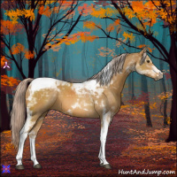 Horse Color:Palomino Tobiano 