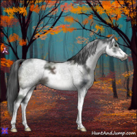 Horse Color:White Spotted Black Frame 
