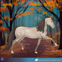 Horse Color:Classic Champagne Dun 