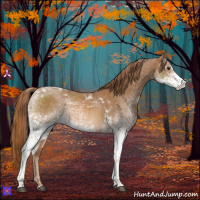 Horse Color:White Spotted Chestnut Tobiano 