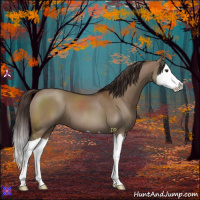 Horse Color:Liver Red Dun Splash 