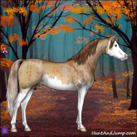 Horse Color:Red Dun Splash Brindle 