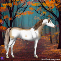 Horse Color:Red Dun Splash Frame 